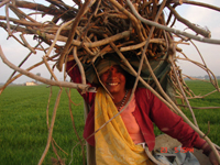 India